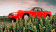 [thumbnail of 1986 Aston Martin Zagato Sport Coupe f3q.jpg]